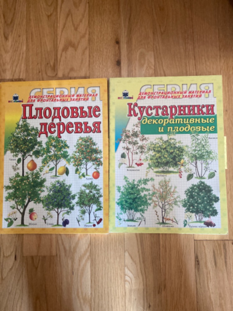 Ôpimapid: puud ja pôôsad