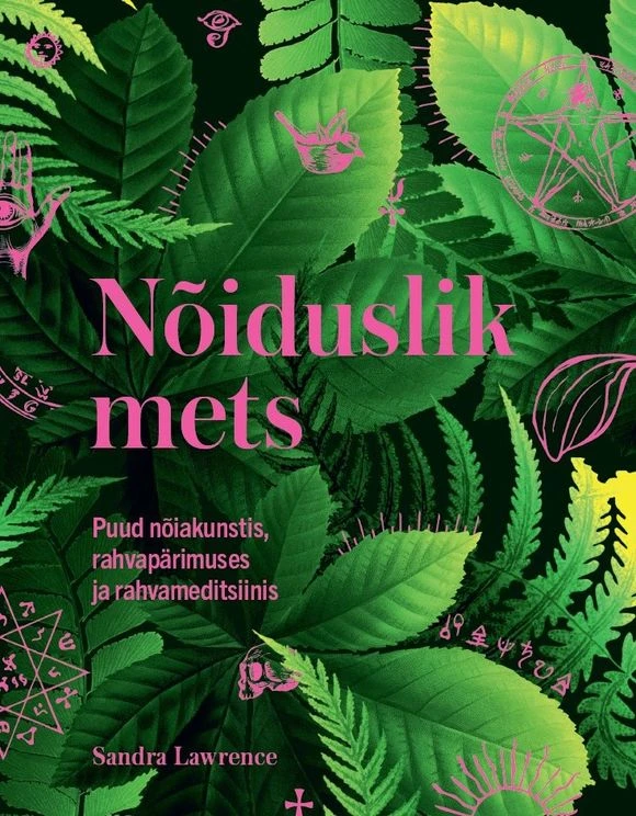 Nõiduslik mets