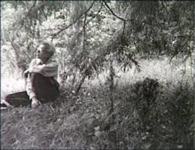 Kirsipuu varjus, 1948-49