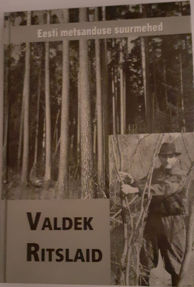 Valdek Ritslaid