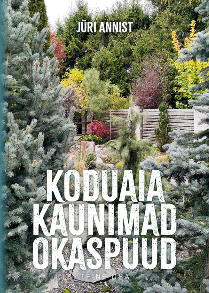 Koduaia kaunimad okaspuud II