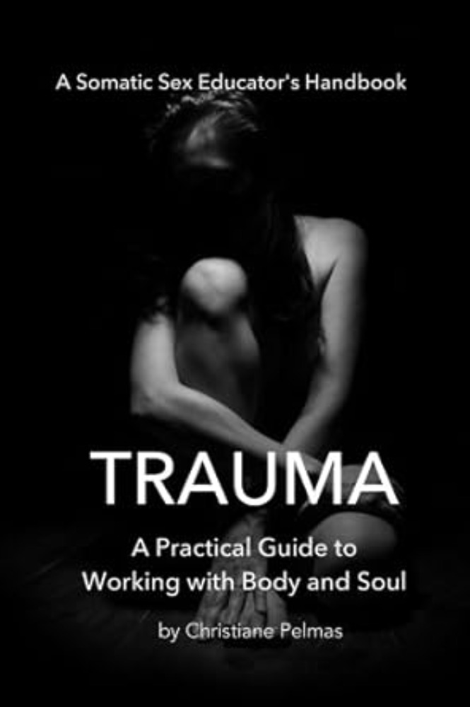 Trauma. A Practical Guide to Working with Body and Soul