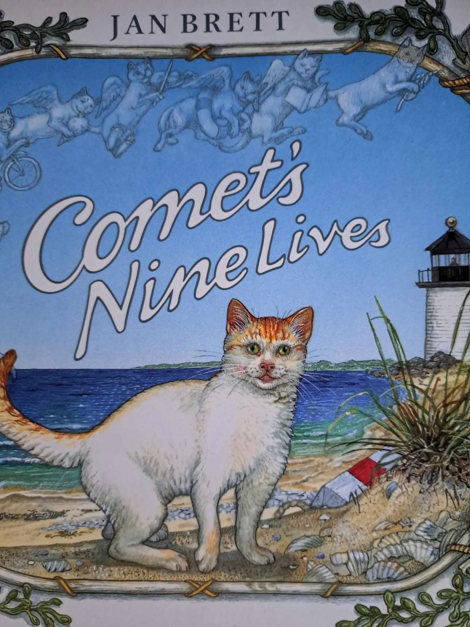 Comet's Nine Lives