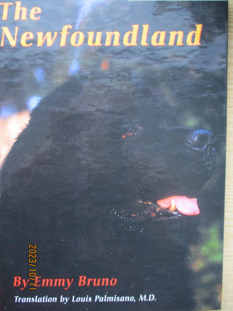 The Newfoundland