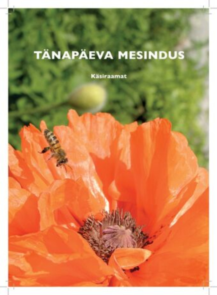 Tänapäeva mesindus
