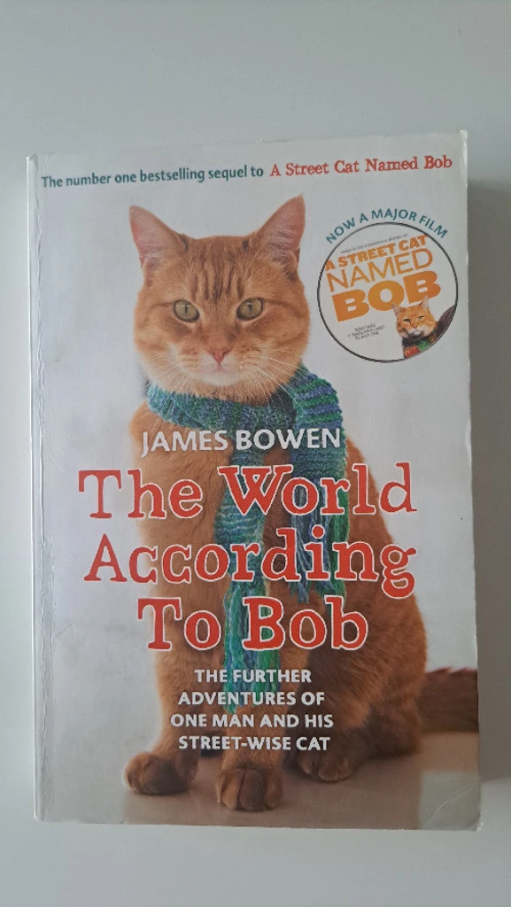The World According To Bob