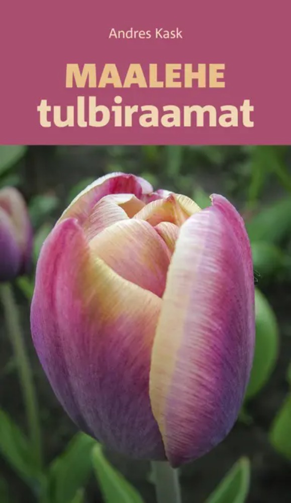 Maalehe tulbiraamat
