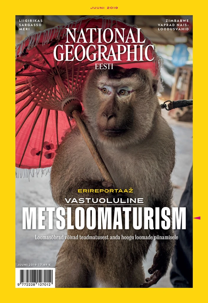 Vastuoluline metsloomaturism