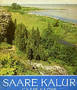 "Saare Kalur" = "Сааре Калур"