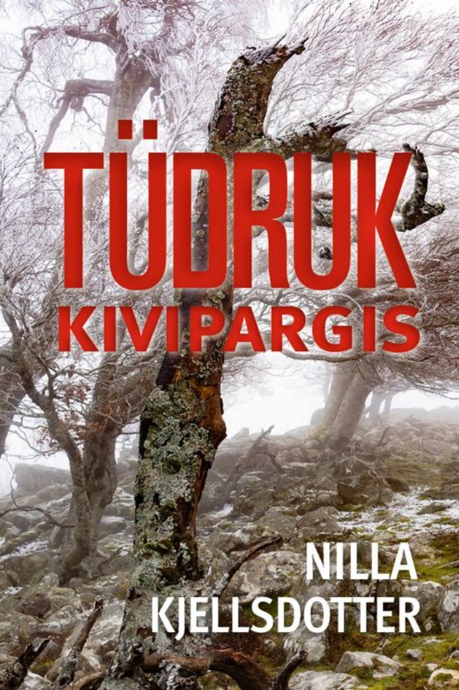Tüdruk Kivipargis