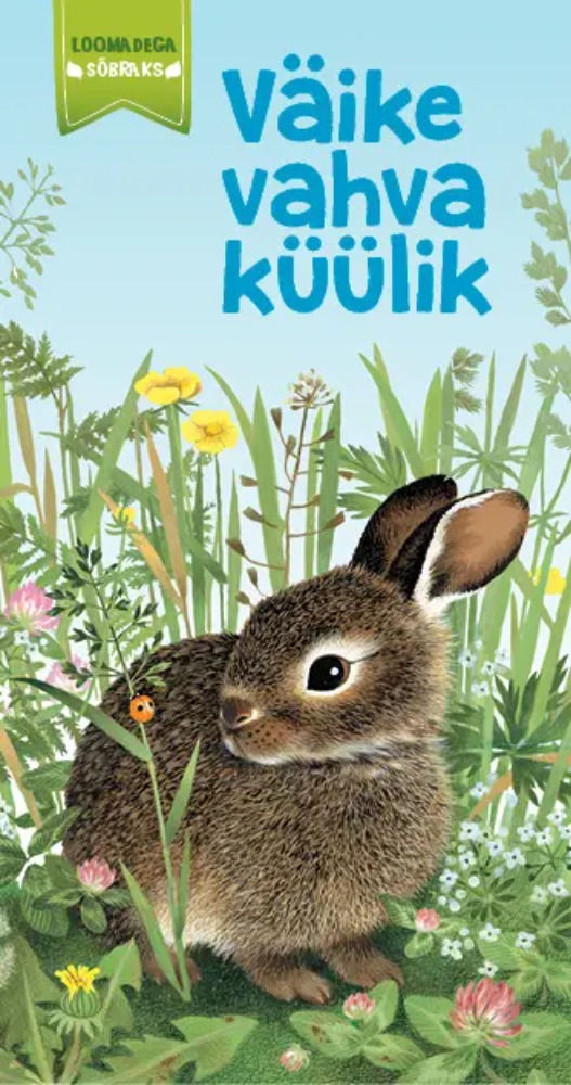 Väike vahva küülik