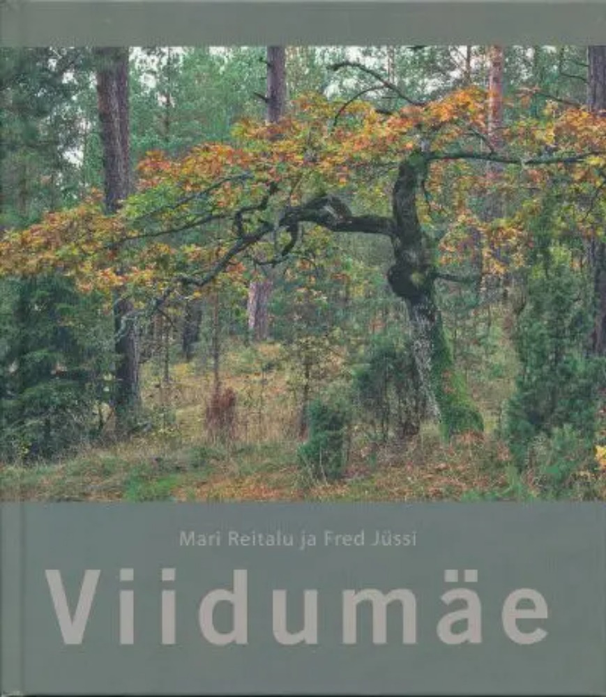 Viidumäe