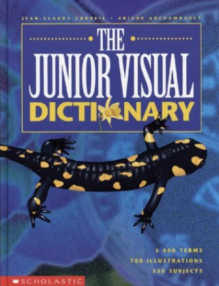 The Junior Visual Dictionary
