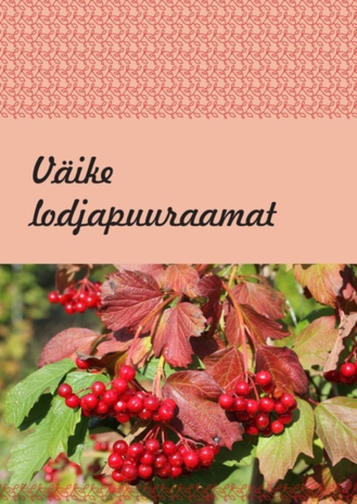 Väike lodjapuuraamat