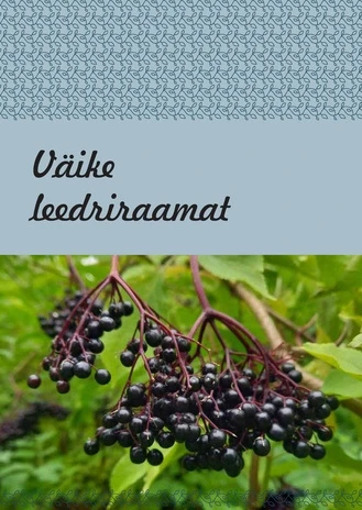 Väike leedriraamat
