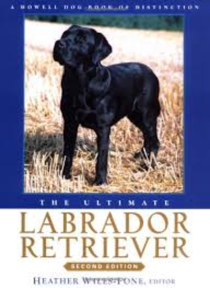 The Ultimate Labrador Retriever(second editon)