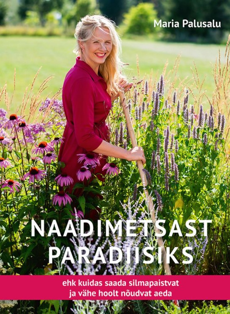 Naadimetsast paradiisiks 