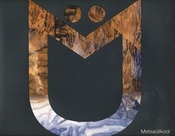 Metsaülikool 1983-2005