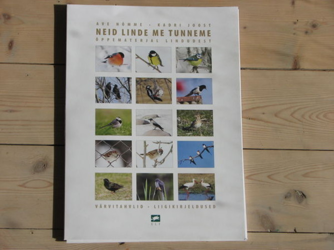 Neid linde me tunneme