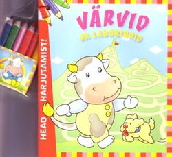 Värvid ja labürindid