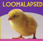 Loomalapsed