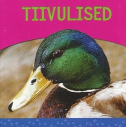 Tiivulised