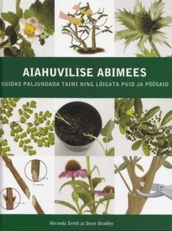 Aiahuvilise abimees
