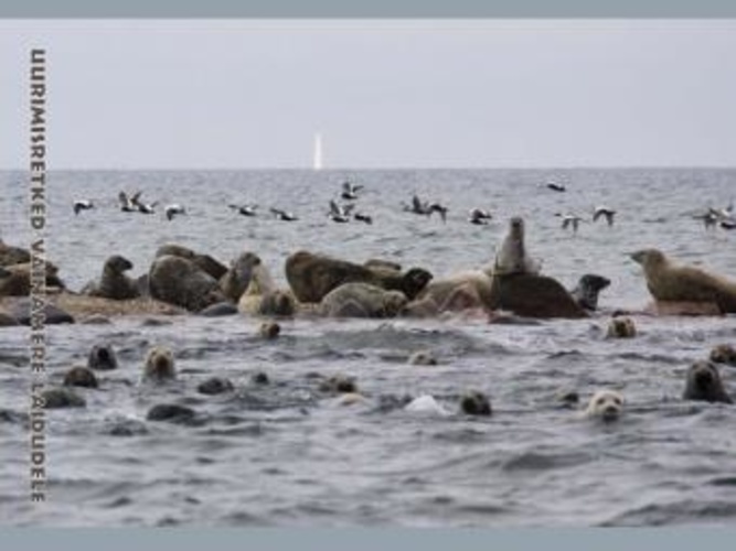 Uurimisretked Väinamere laidudele