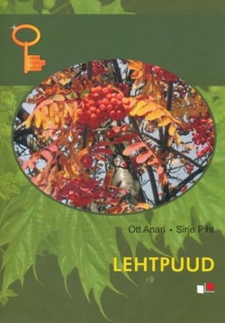 Lehtpuud