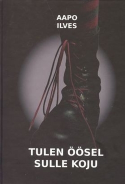 Tulen öösel sulle koju