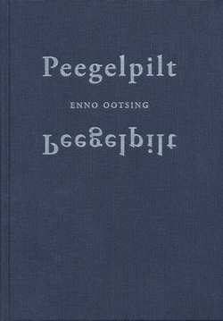 Peegelpilt