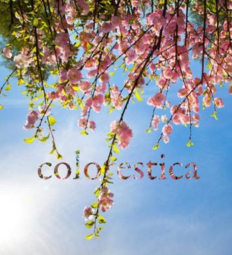 Colorestica : [fotoalbum]