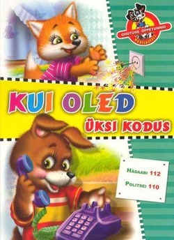 Kui oled üksi kodus