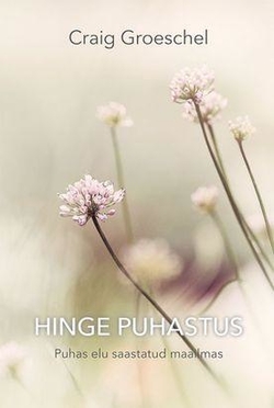 Hinge puhastus