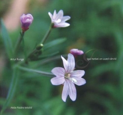 Igal hetkel on uued värvid