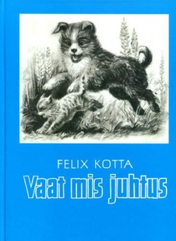 Vaat mis juhtus