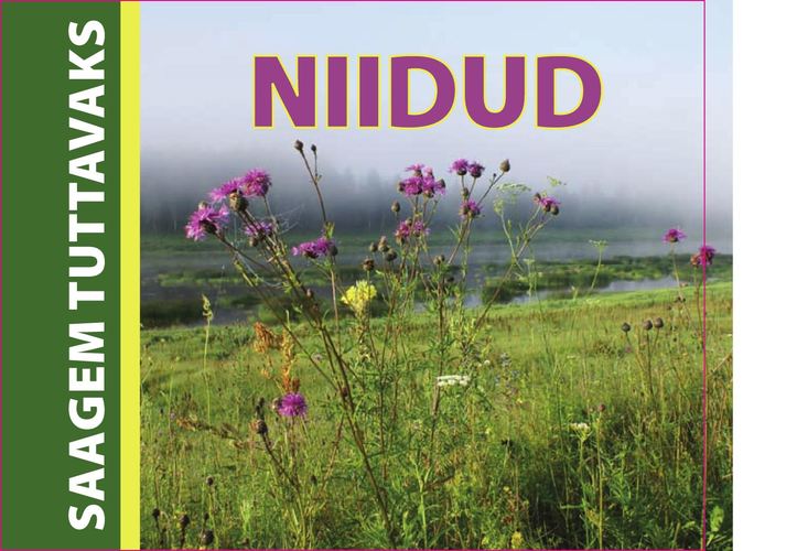 Saagem tuttavaks - niidud