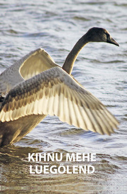 Kihnu mehe luegõlend