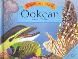 Ookean