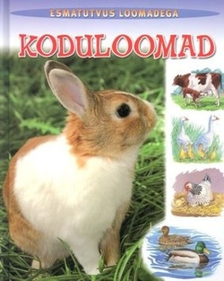 Koduloomad