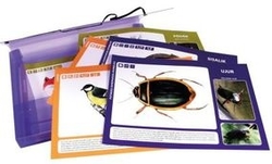 Eesti looduse pildimapp