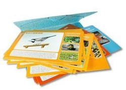 Eesti looduse pildimapp