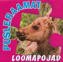 Pusleraamat