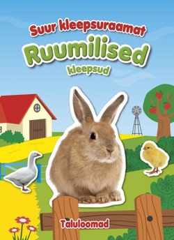 Suur kleepsuraamat. Ruumilised kleepsud