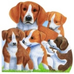 Loomapere : kutsikad mänguhoos