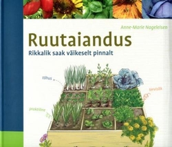 Ruutaiandus