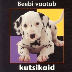 Beebi vaatab kutsikaid