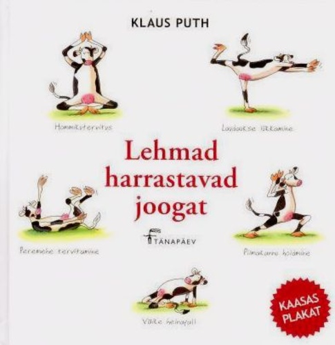 Lehmad harrastavad joogat