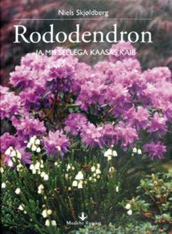 Rododendron - ja mis sellega kaasas käib