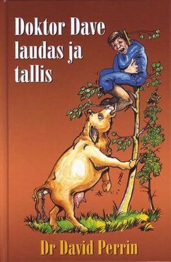 Doktor Dave laudas ja tallis